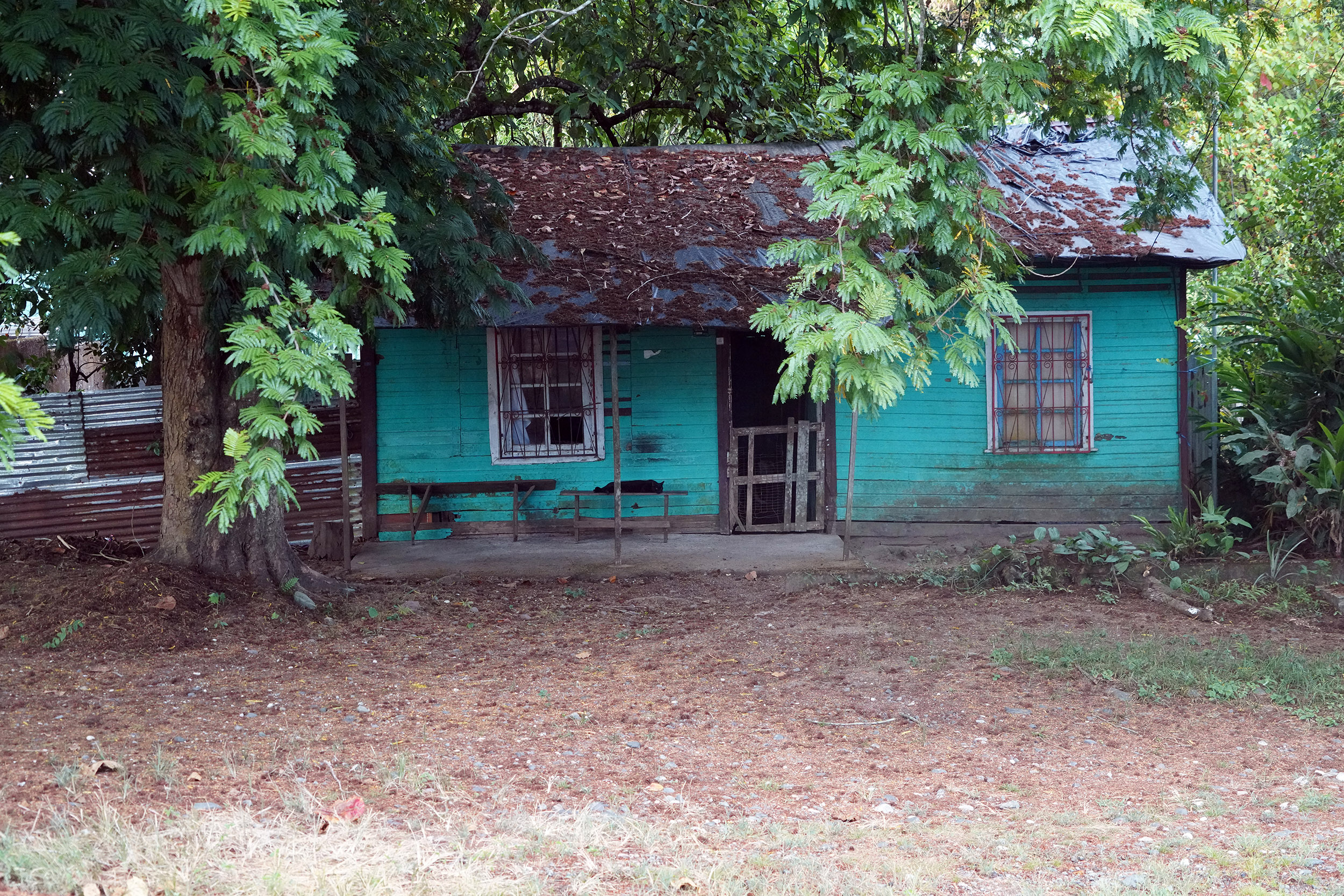 Costa Rica - Février 2025